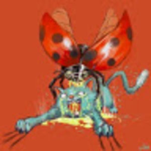 Meet your Posher, Kevin